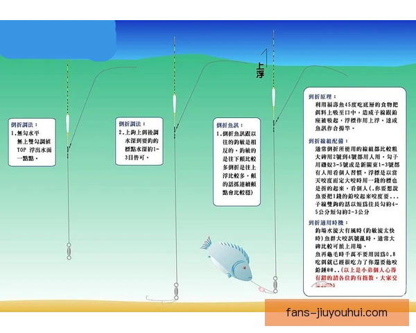 台钓补水策略详解，节奏与饵料状态需同步调整